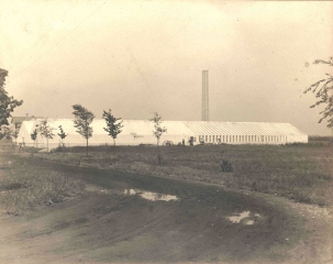busse-greenhouses-c-1916-034